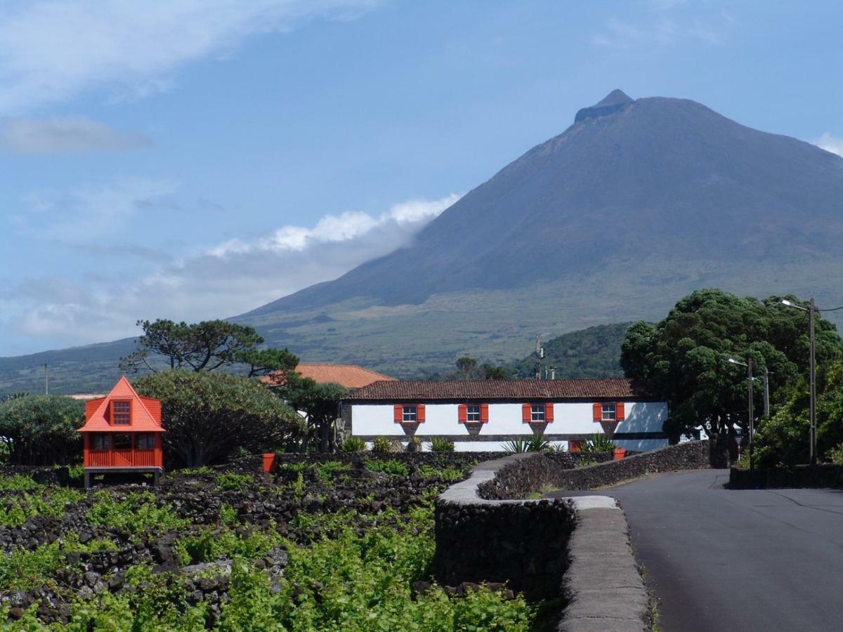 Susete Village São Roque do Pico Dış mekan fotoğraf